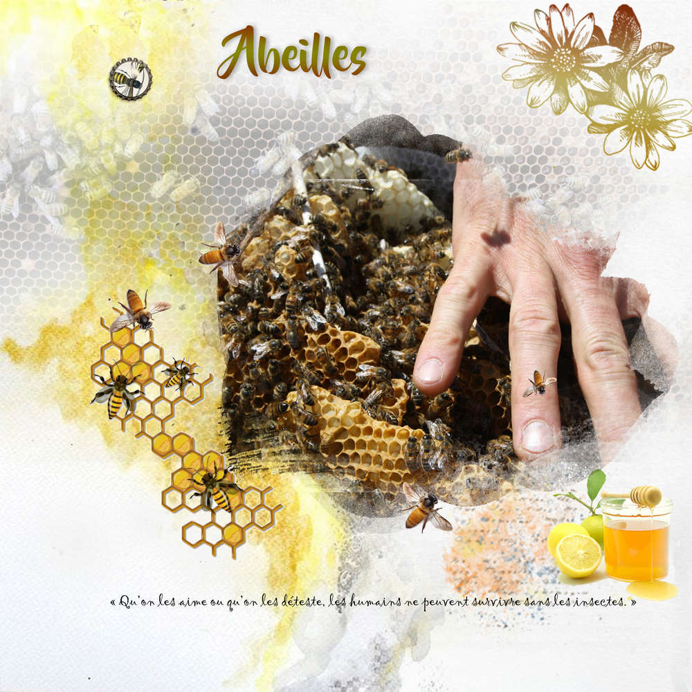 Challenge printemps abeilles