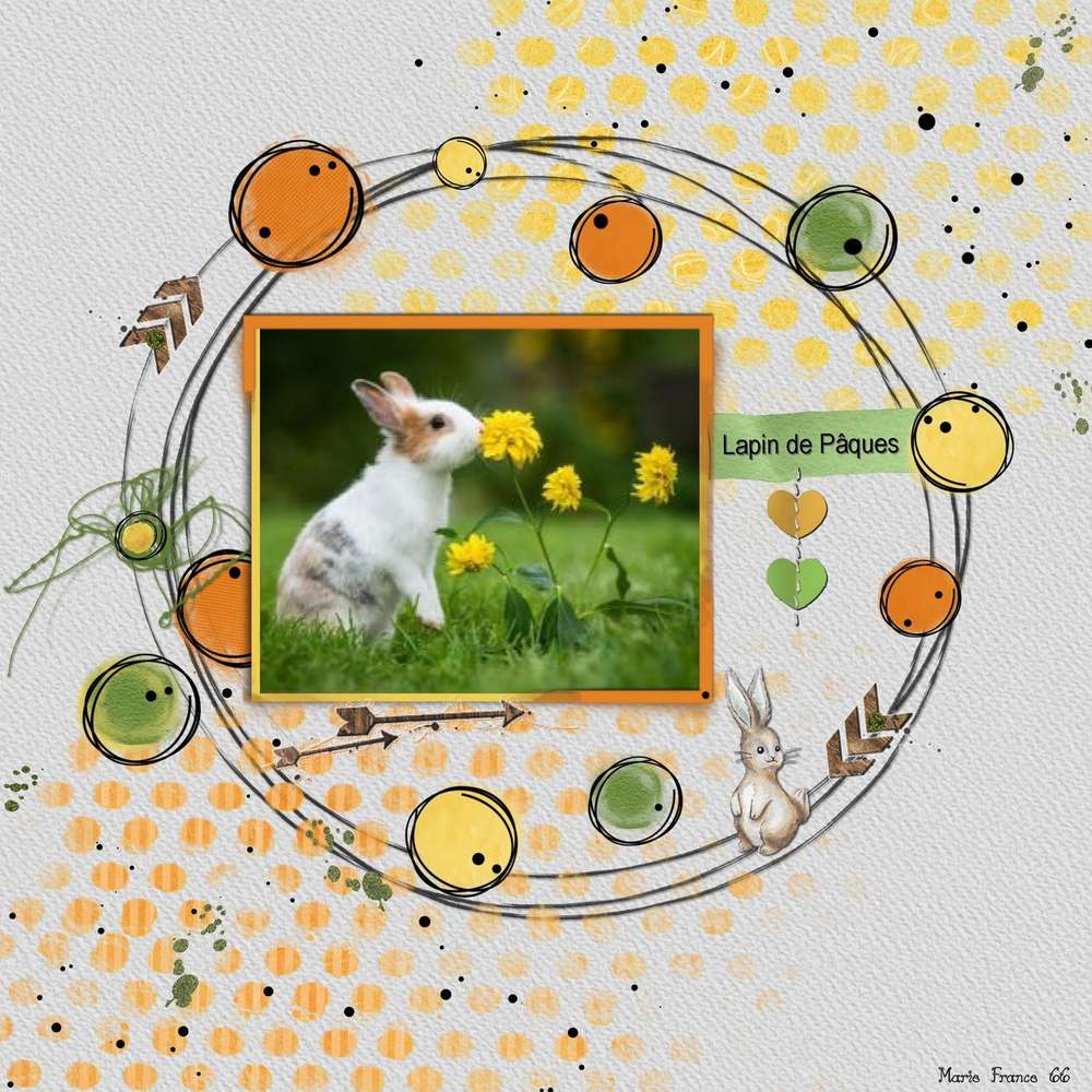 CHALLENGE PRINTEMPS ANIMAUX