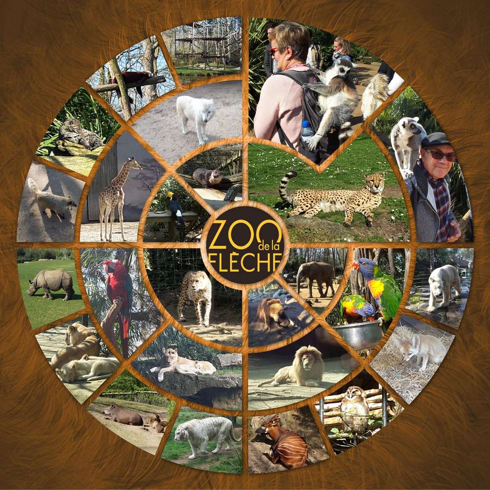 Challenge printemps animaux