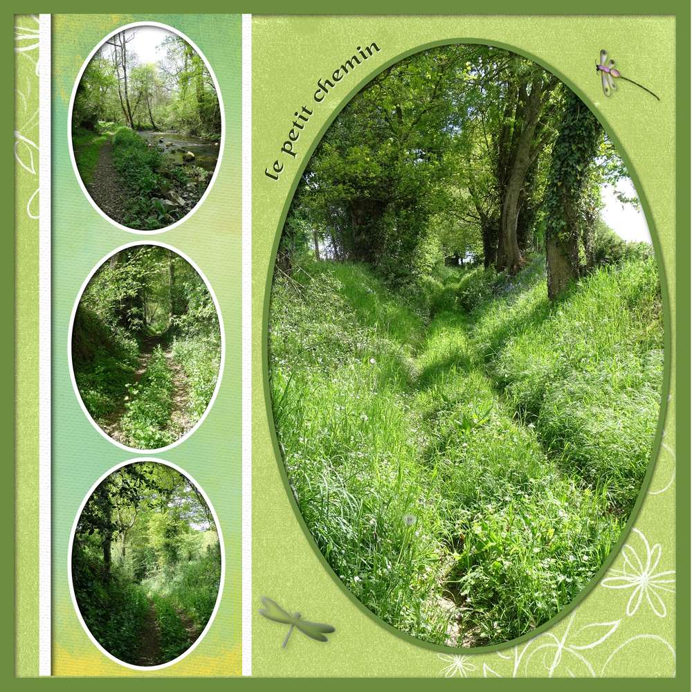 Challenge Printemps - ça pousse - 27 avril 2020