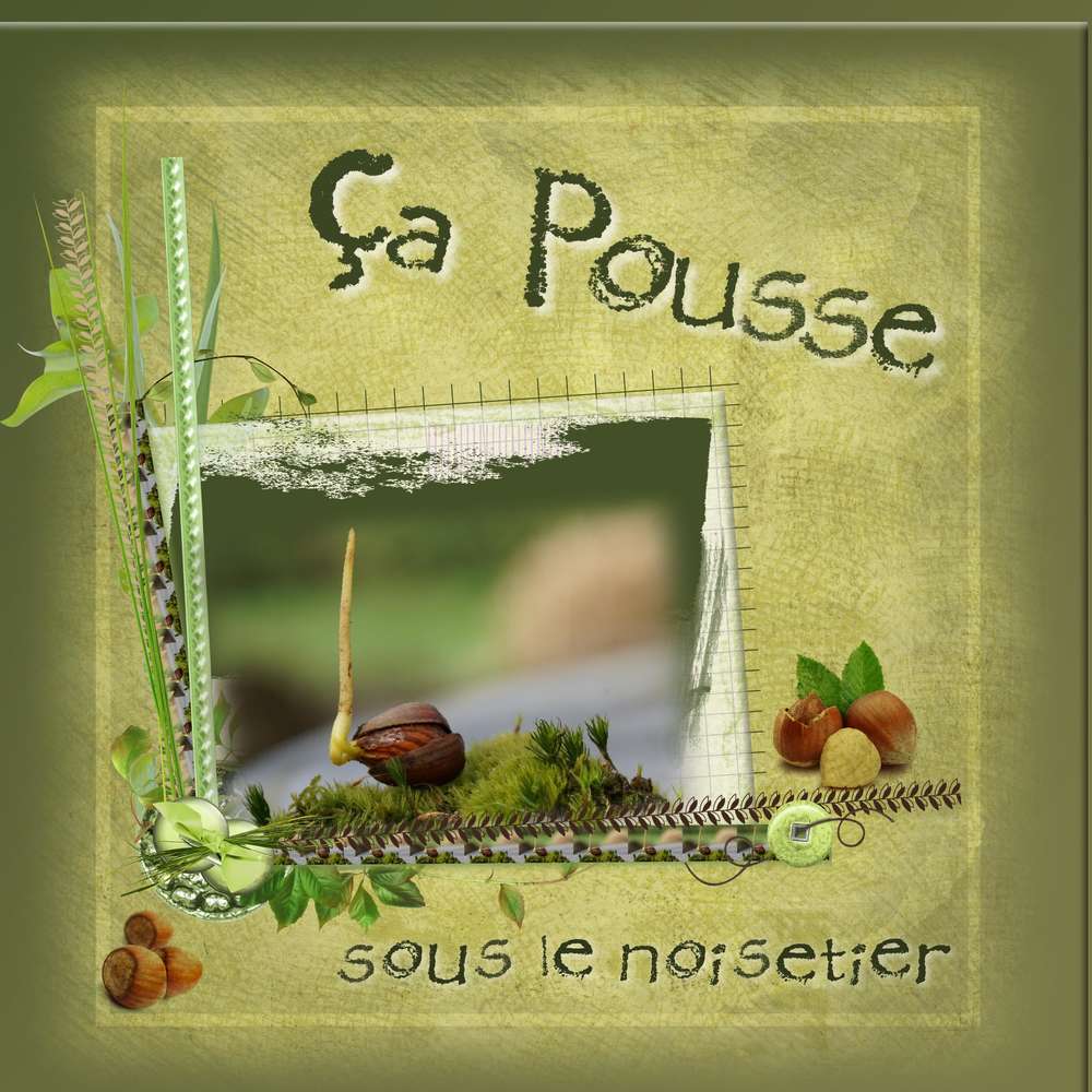 Challenge printemps ça pousse