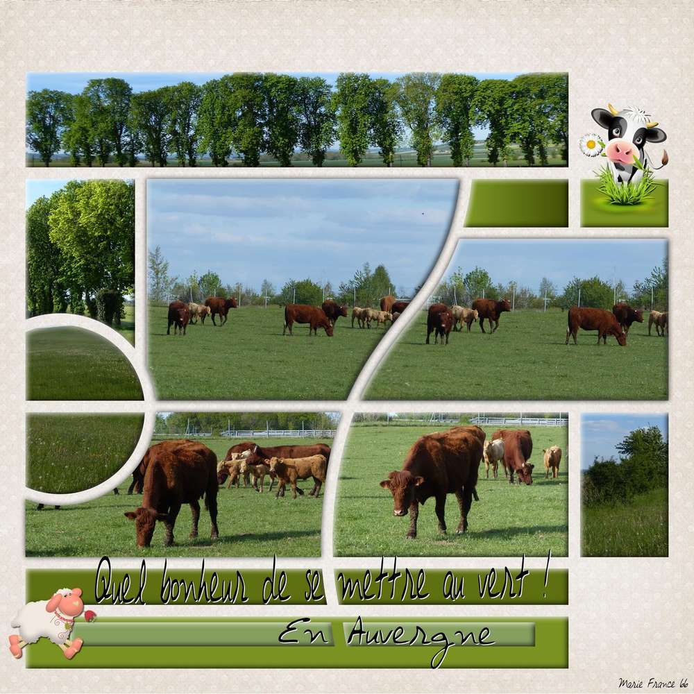 challenge-printemps-c'est vert 2