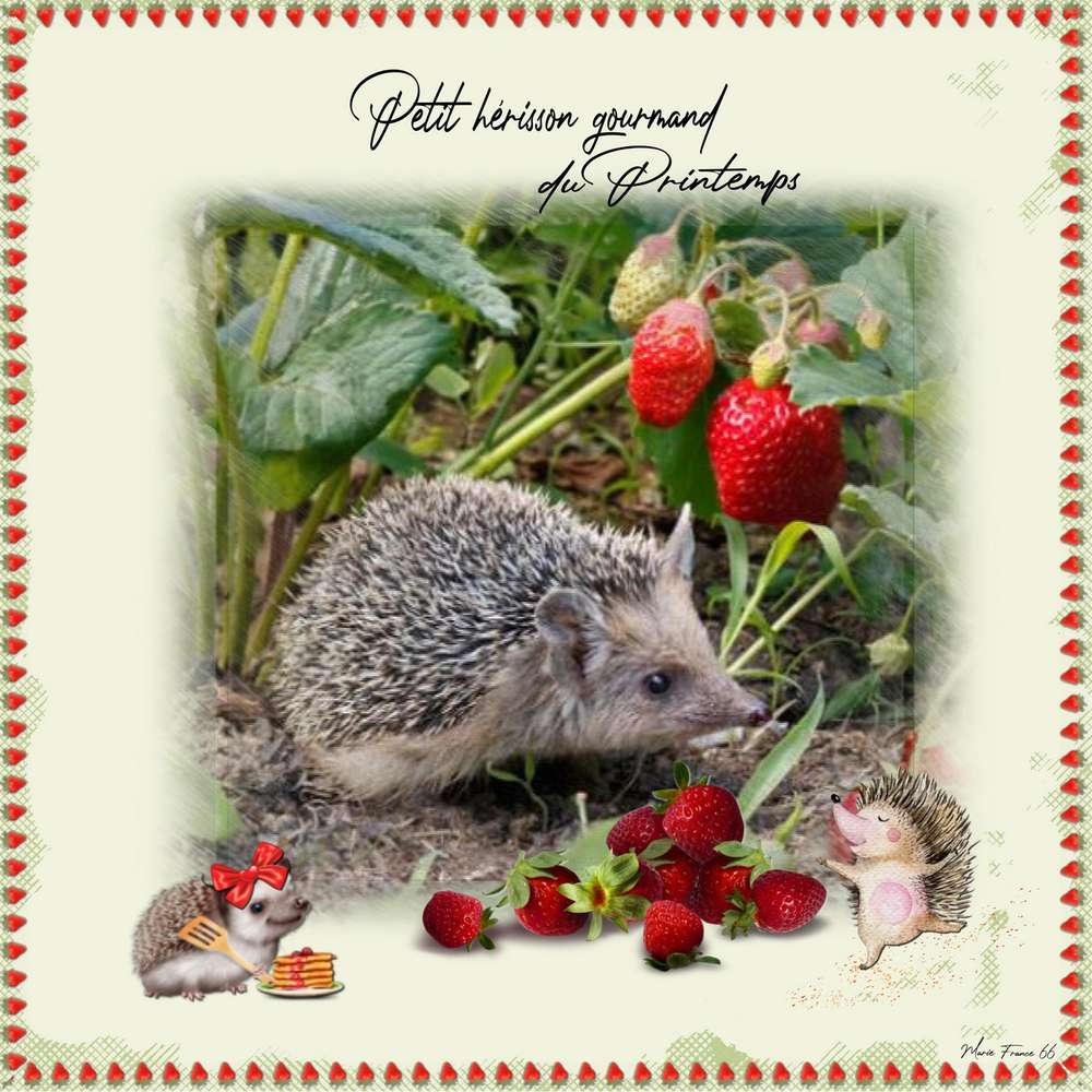 challenge-printemps-herisson-25 . 1