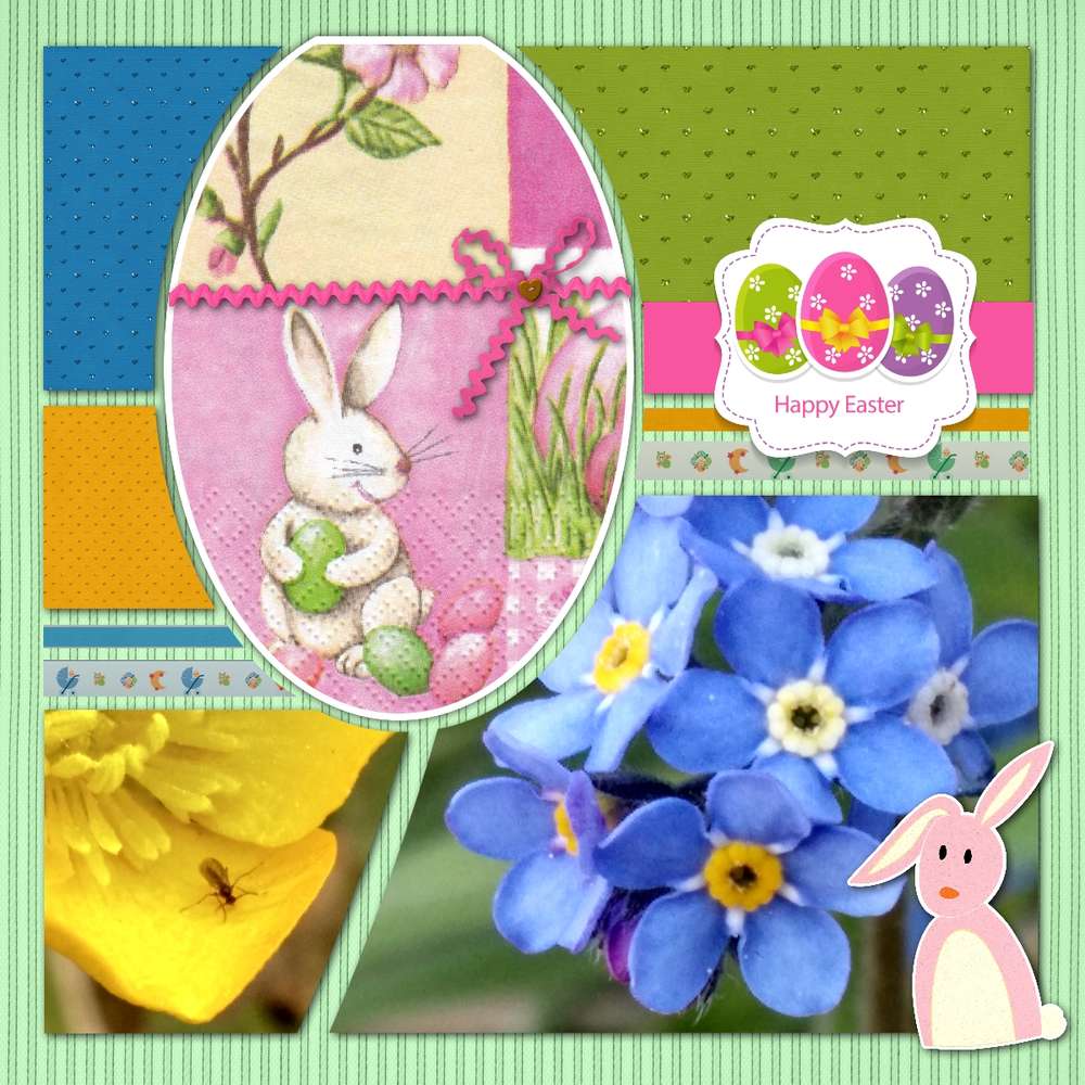 challenge printemps lapin