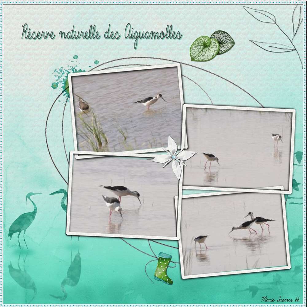 CHALLENGE PRINTEMPS OISEAUX 1