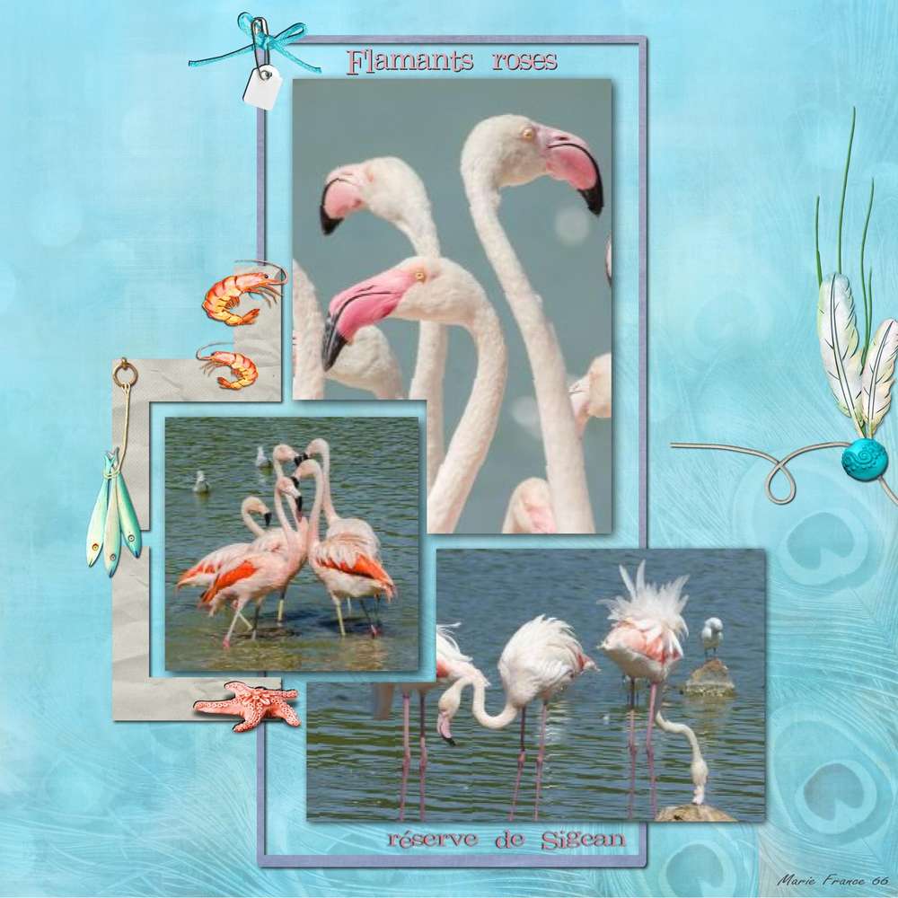 CHALLENGE PRINTEMPS OISEAUX 2