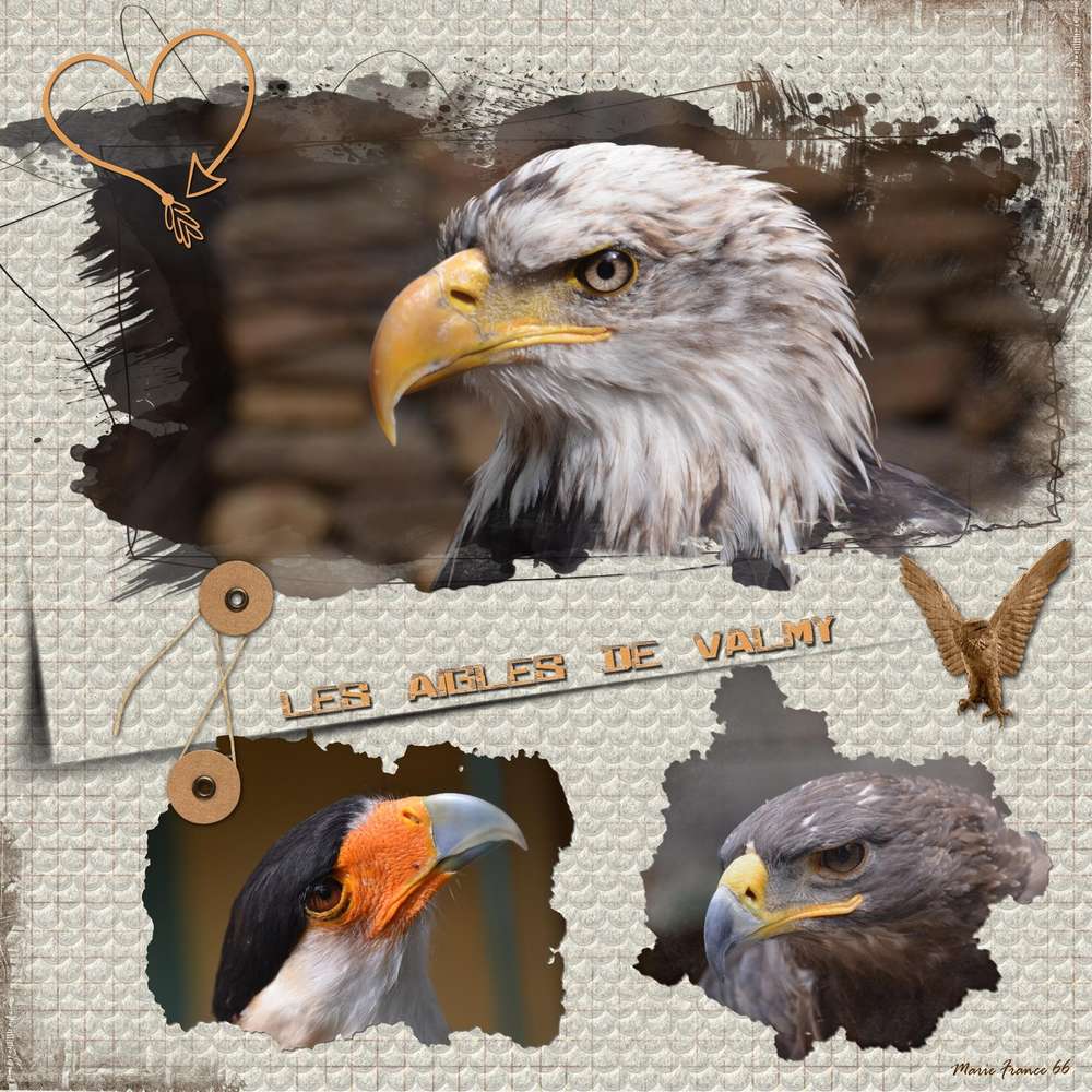 CHALLENGE PRINTEMPS OISEAUX 3