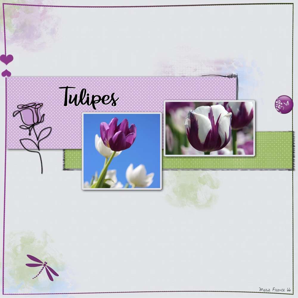 CHALLENGE PRINTEMPS TULIPE