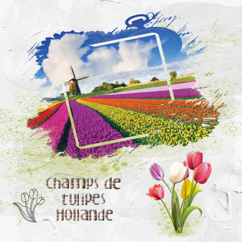 challenge printemps tulipes