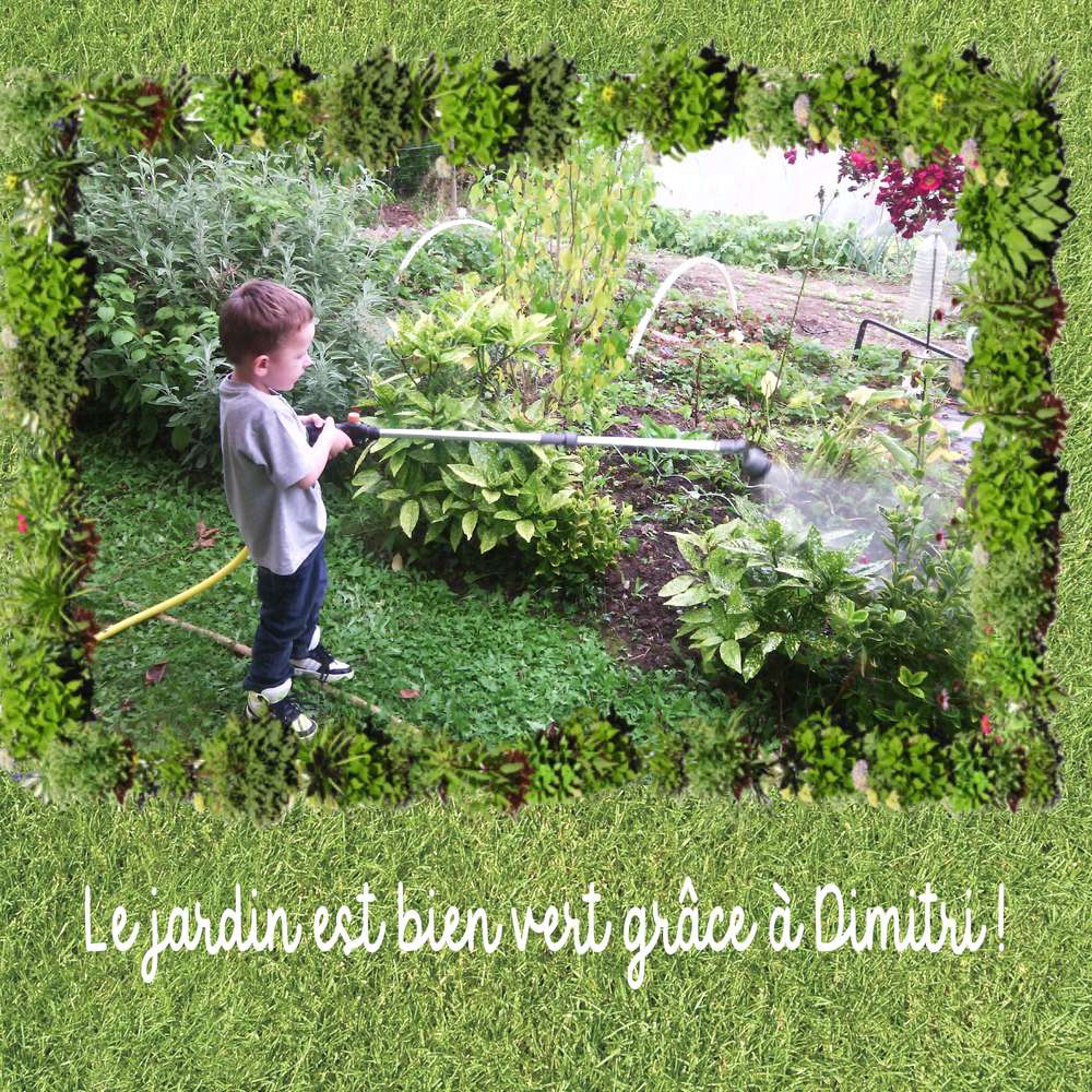 challenge printemps : vert