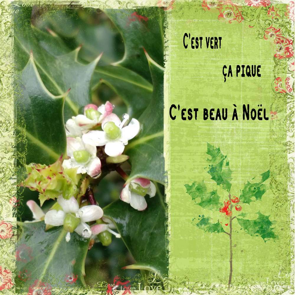 challenge printemps vert