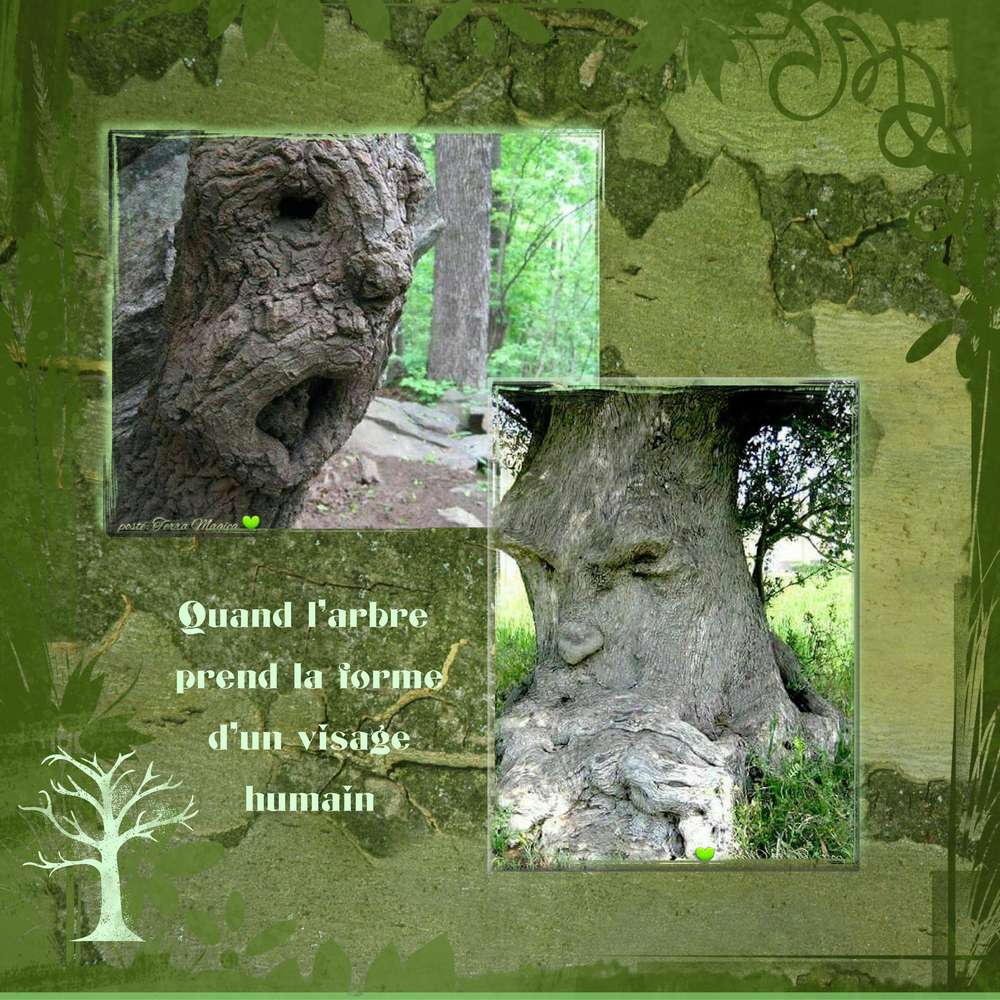 Challenge printemps vert