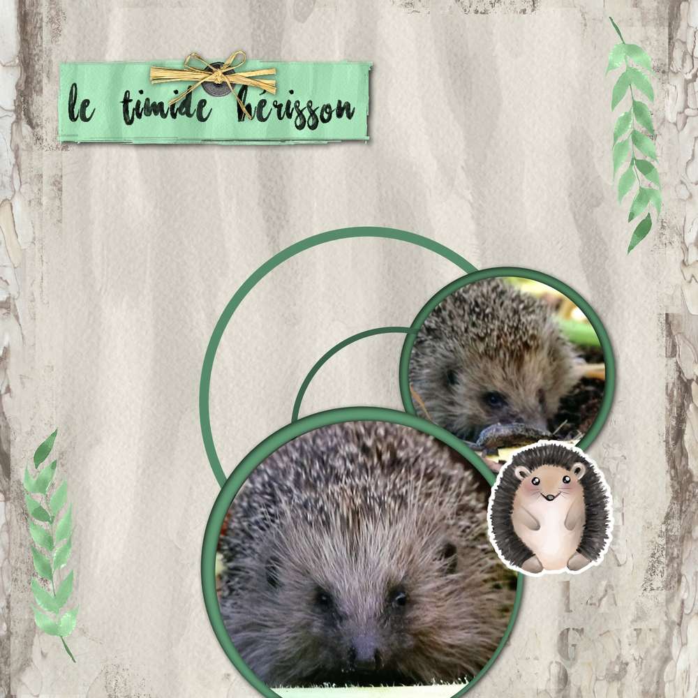 challenge printemps vert