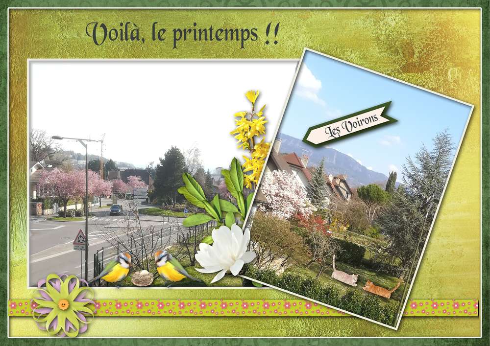 Challenge Printemps_Giecat