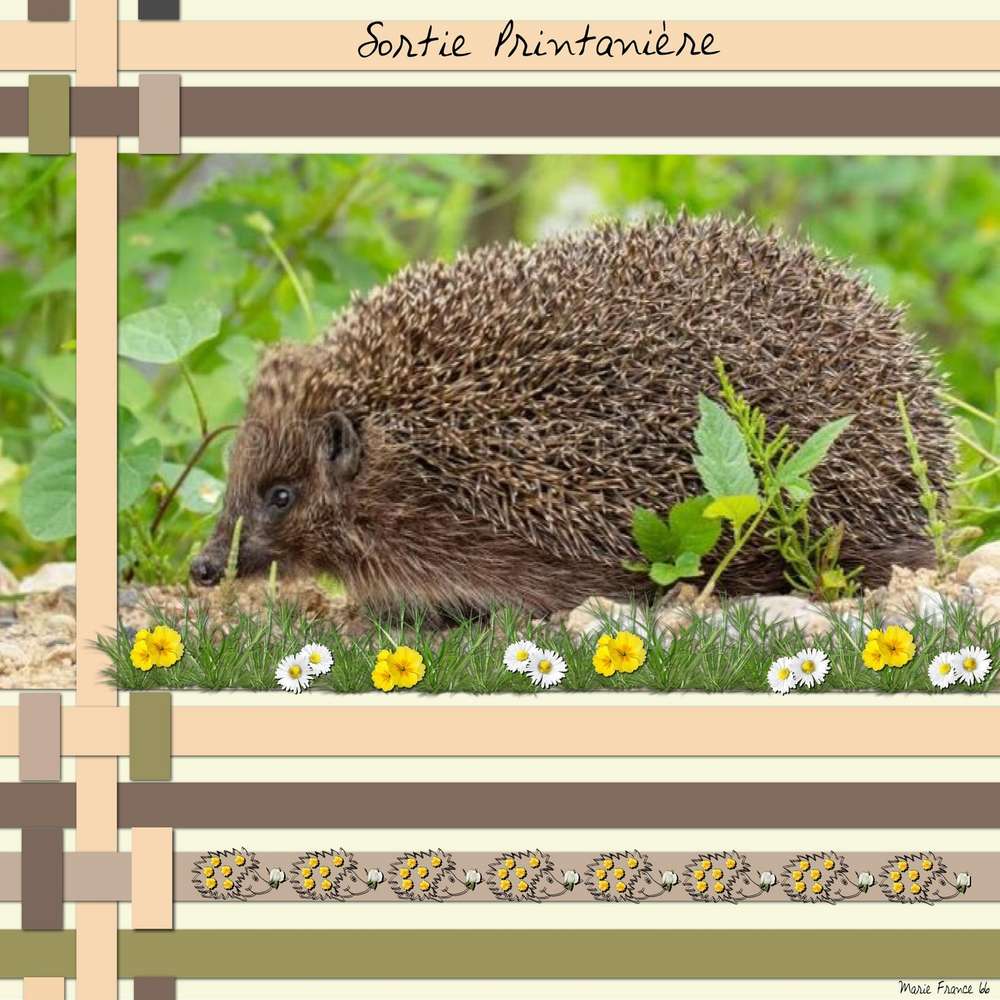 challenge-printempsherisson-25. 2