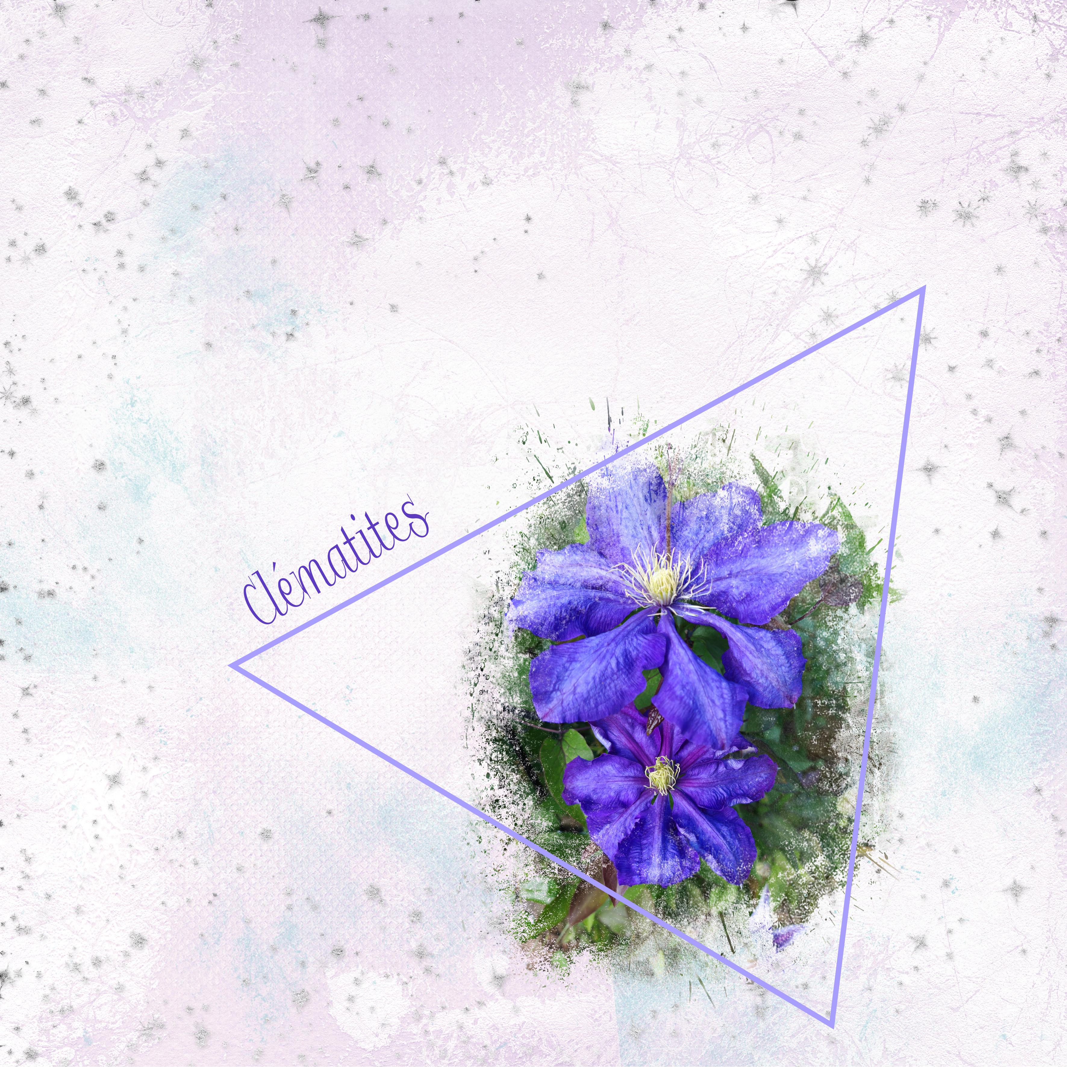 Challenge relax 3 03 2026.jpg