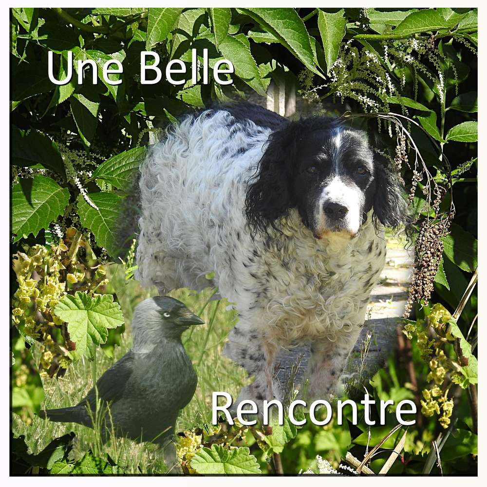 CHALLENGE SCRAP LIFT - UNE BELLE RENCONTRE