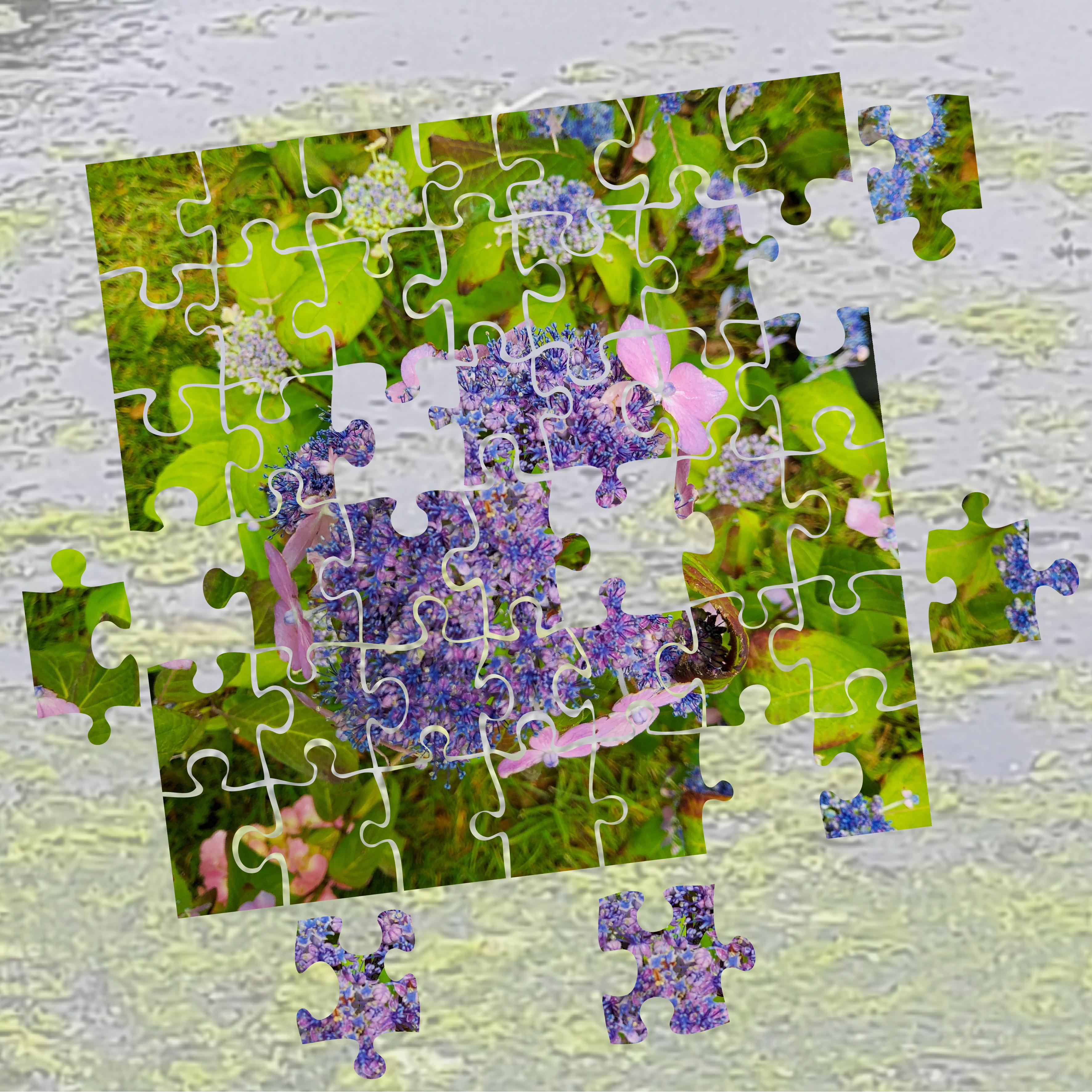 Challenge Snoopy Puzzle (page 1).jpg