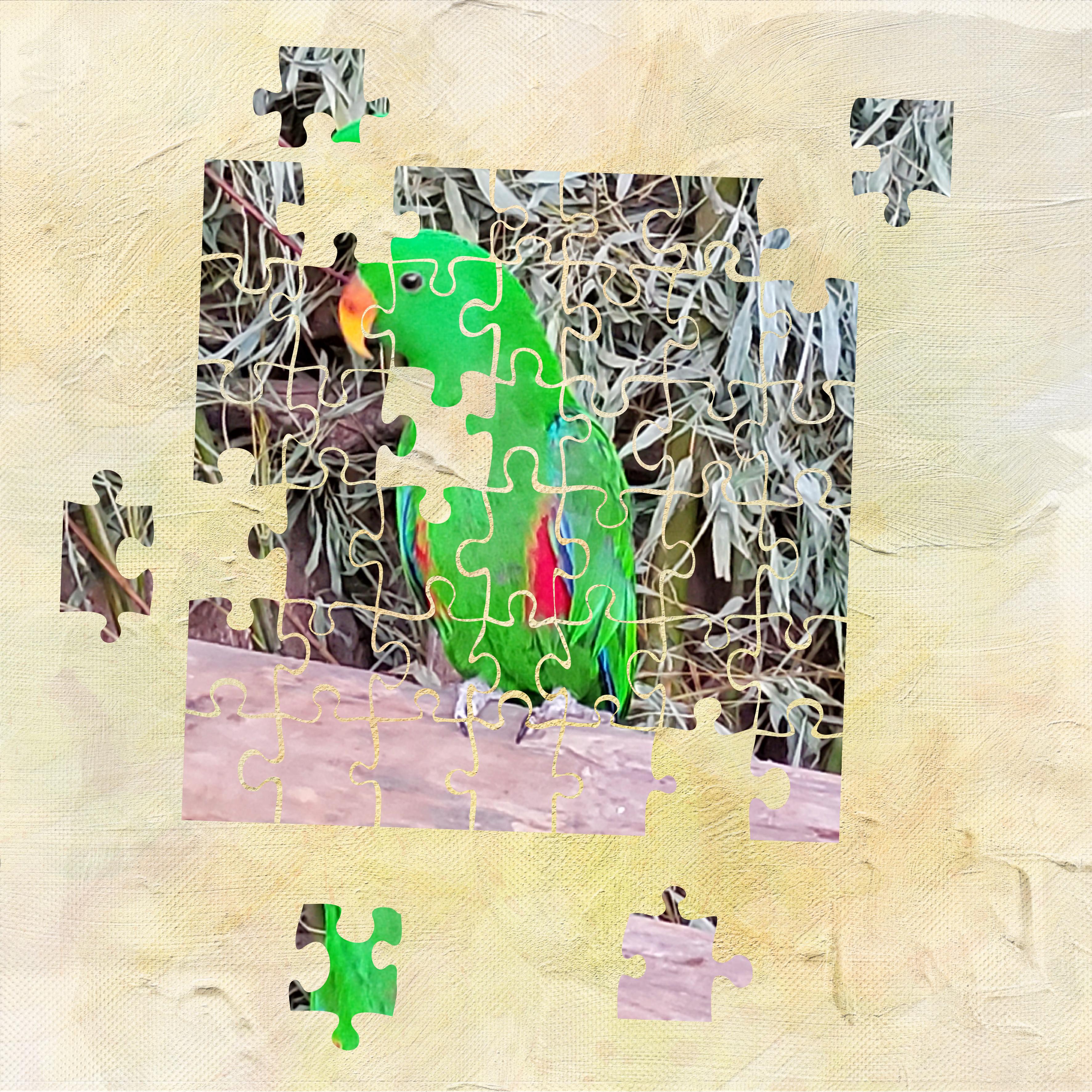 Challenge Snoopy Puzzle (page 2).jpg