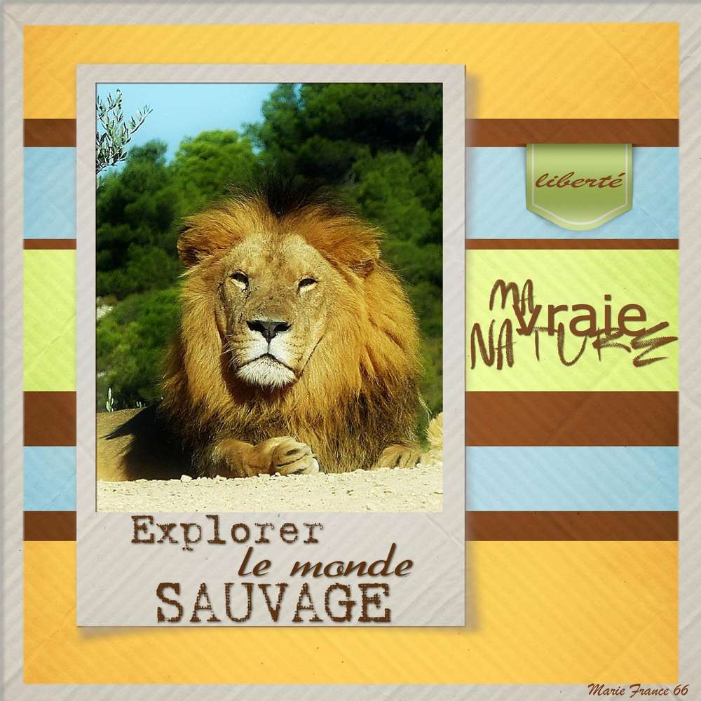 Challenge template Gilberte  du 8.09.2017