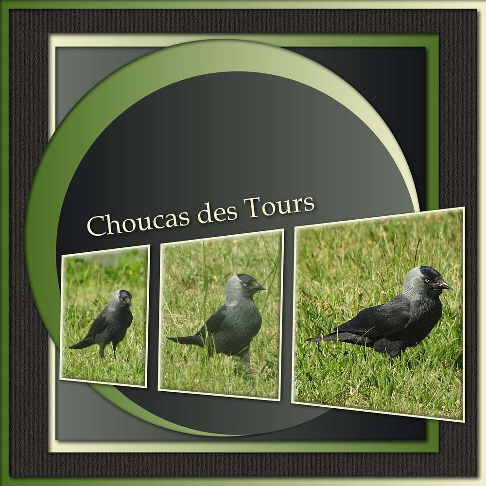 CHALLENGE-TEMPLATE POCHOIR