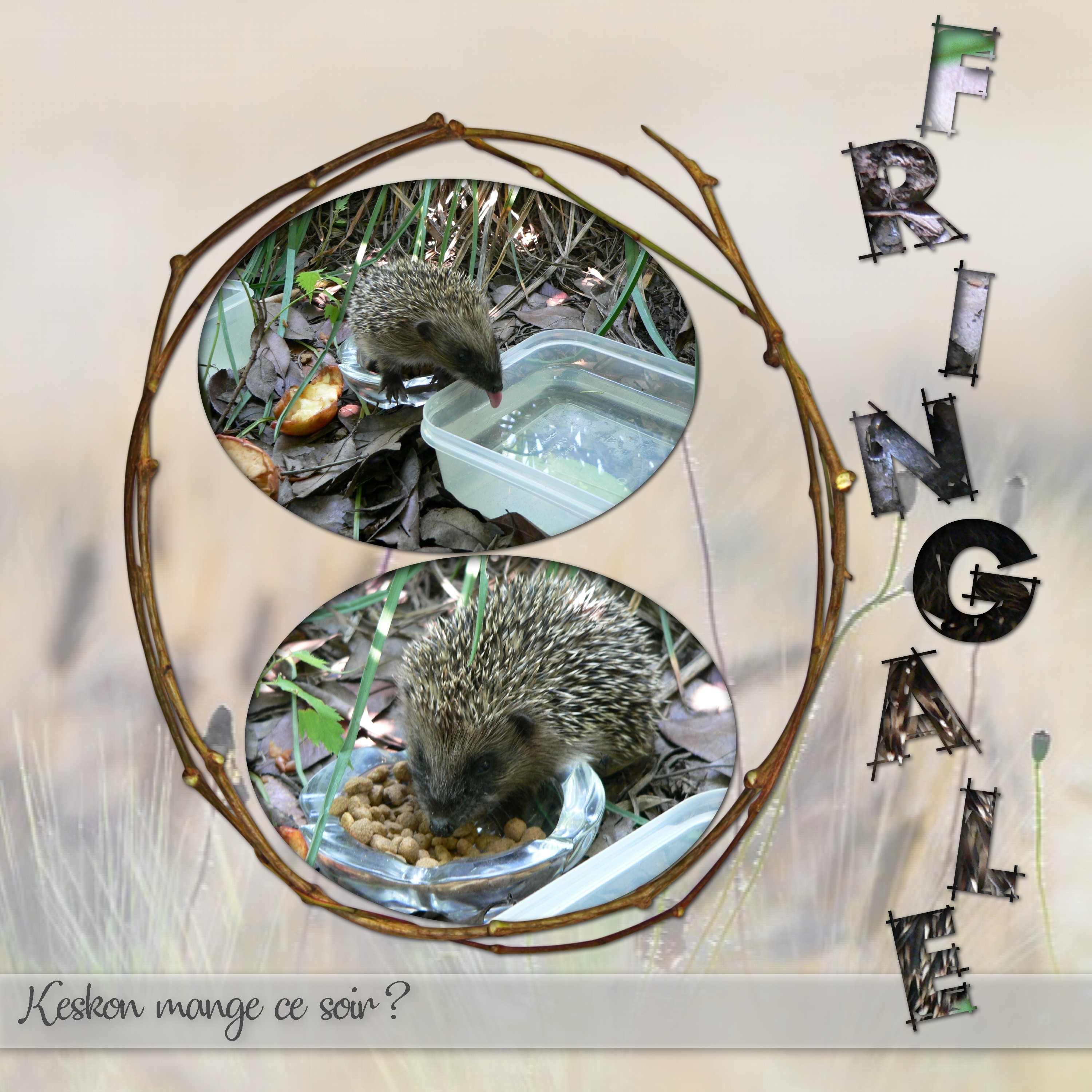 challenge tentation (2).jpg