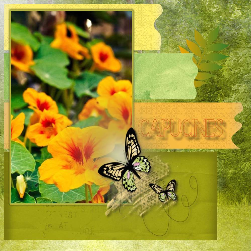 challenge_Aliselle_juin_2017