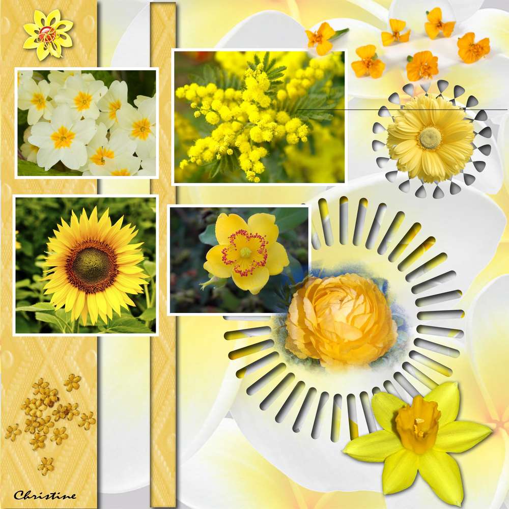 challenge_arc_en_ciel2