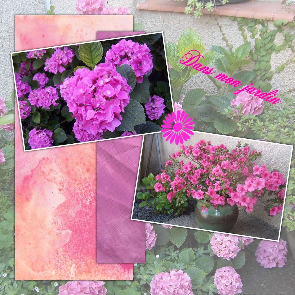 challenge_arc_en_ciel_rose