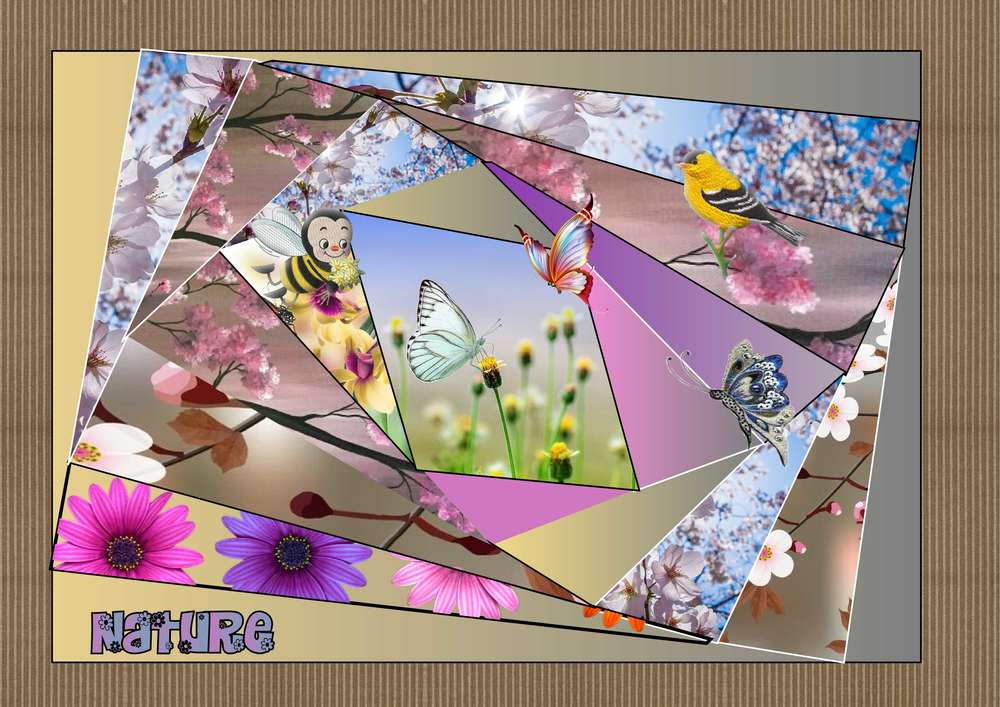 CHALLENGE_C_D__I_P_PAS_FACILE