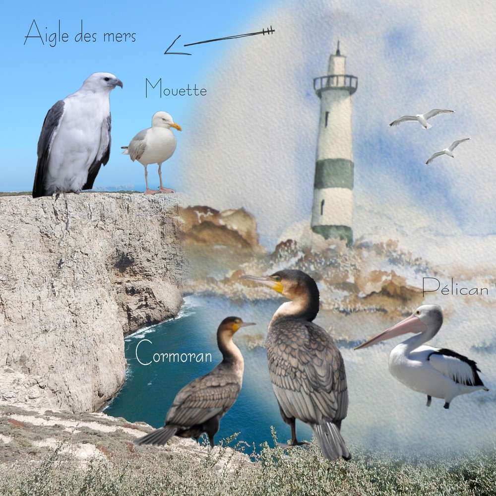 Challenge_Corinnecha