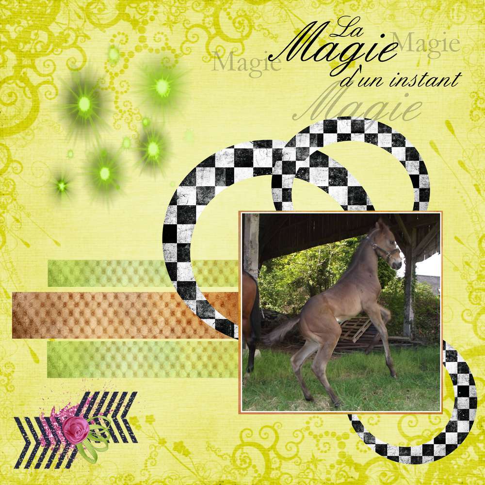 challenge_GieCat_JUILLET_2016