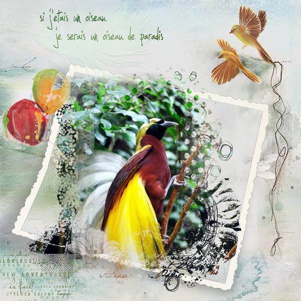 Challenge_Gilberte_si_j__tais_un_oiseau