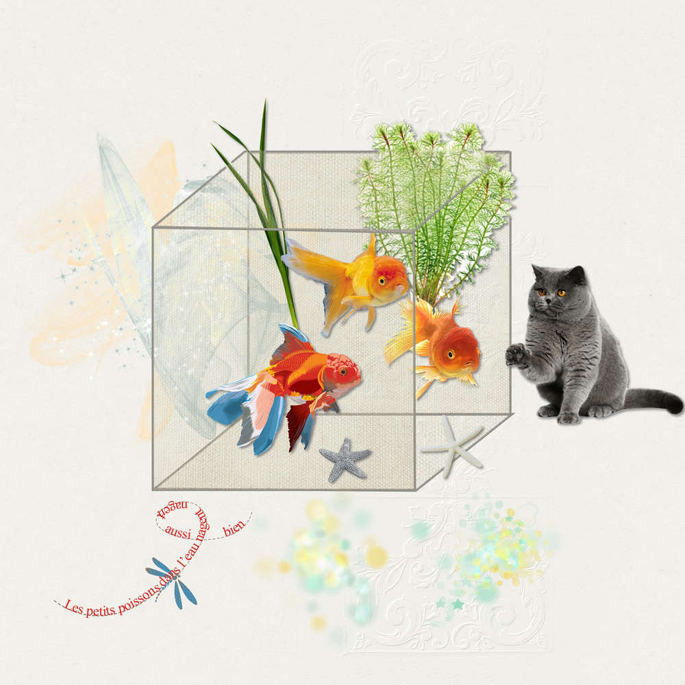 Challenge_Marie_Rose_cube