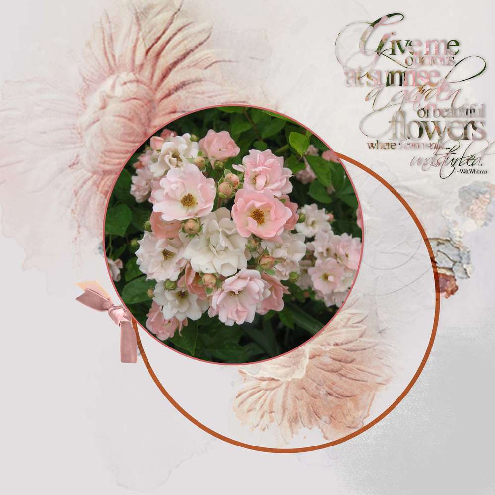 Challenge_Martinas_mai