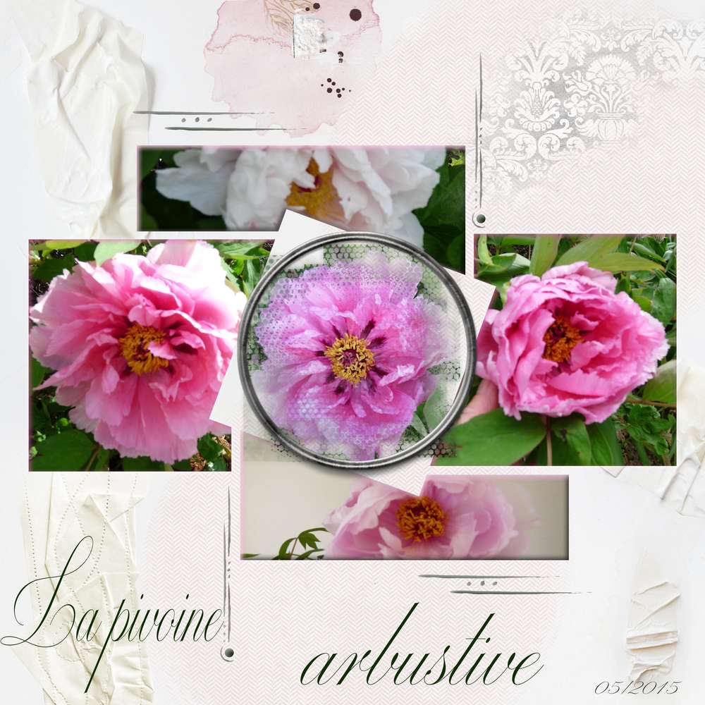 Challenge_Max_-_macros