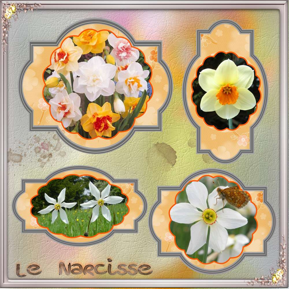 Challenge_nature_Max