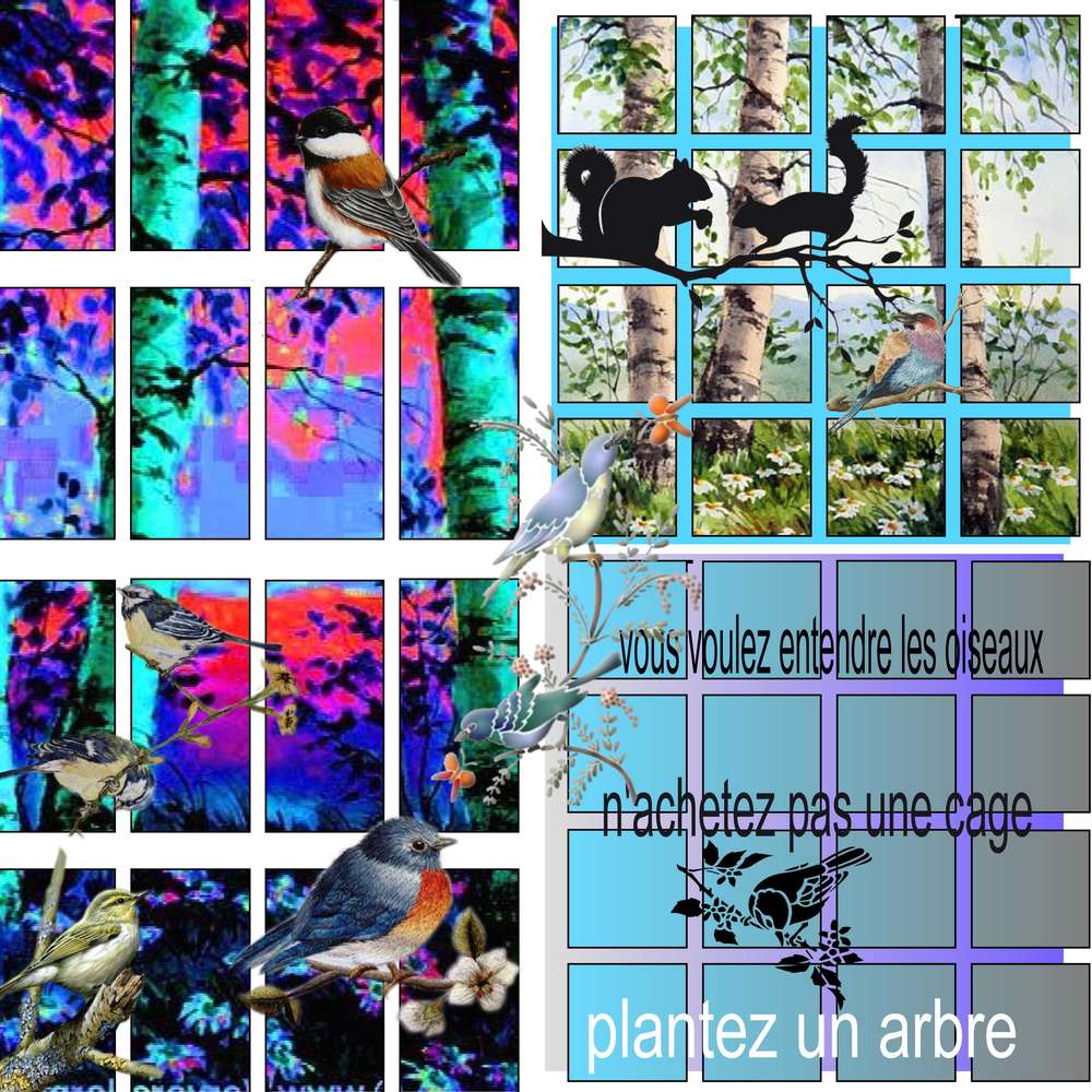 challenge_pas_facile_de_chlodie