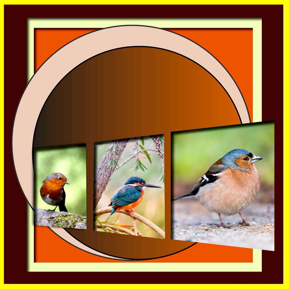 CHALLENGE_POCHOIR__3_