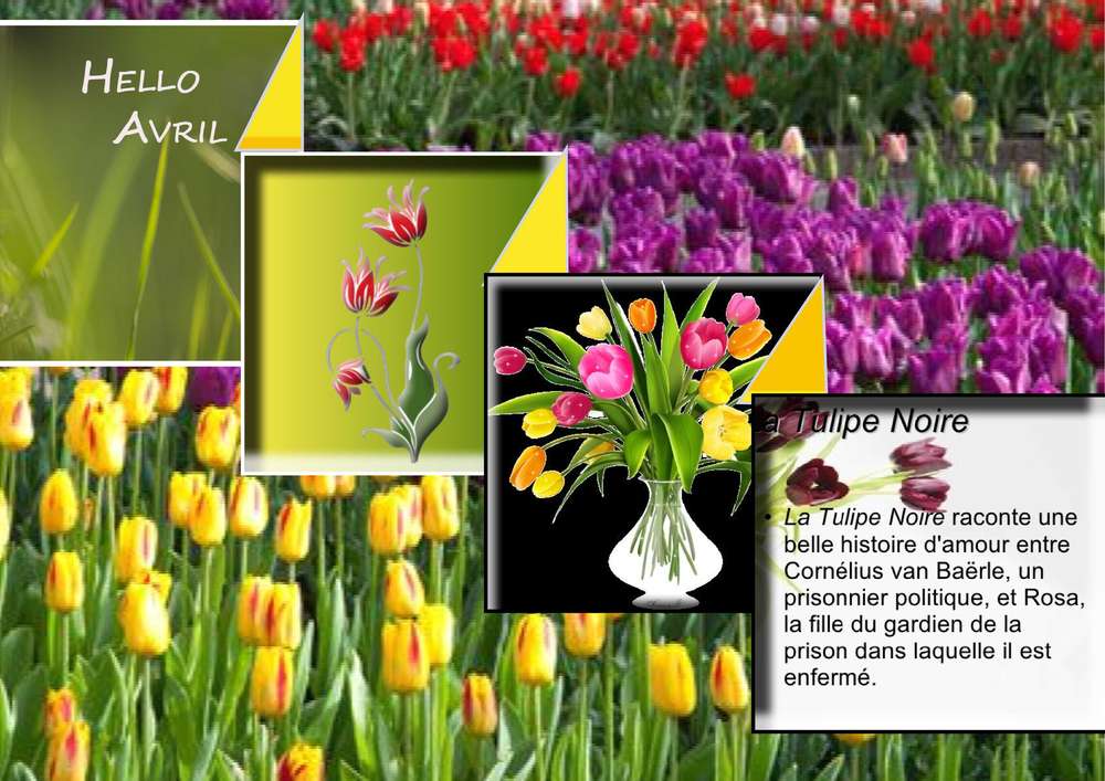 challenge_printemps_13_avril1