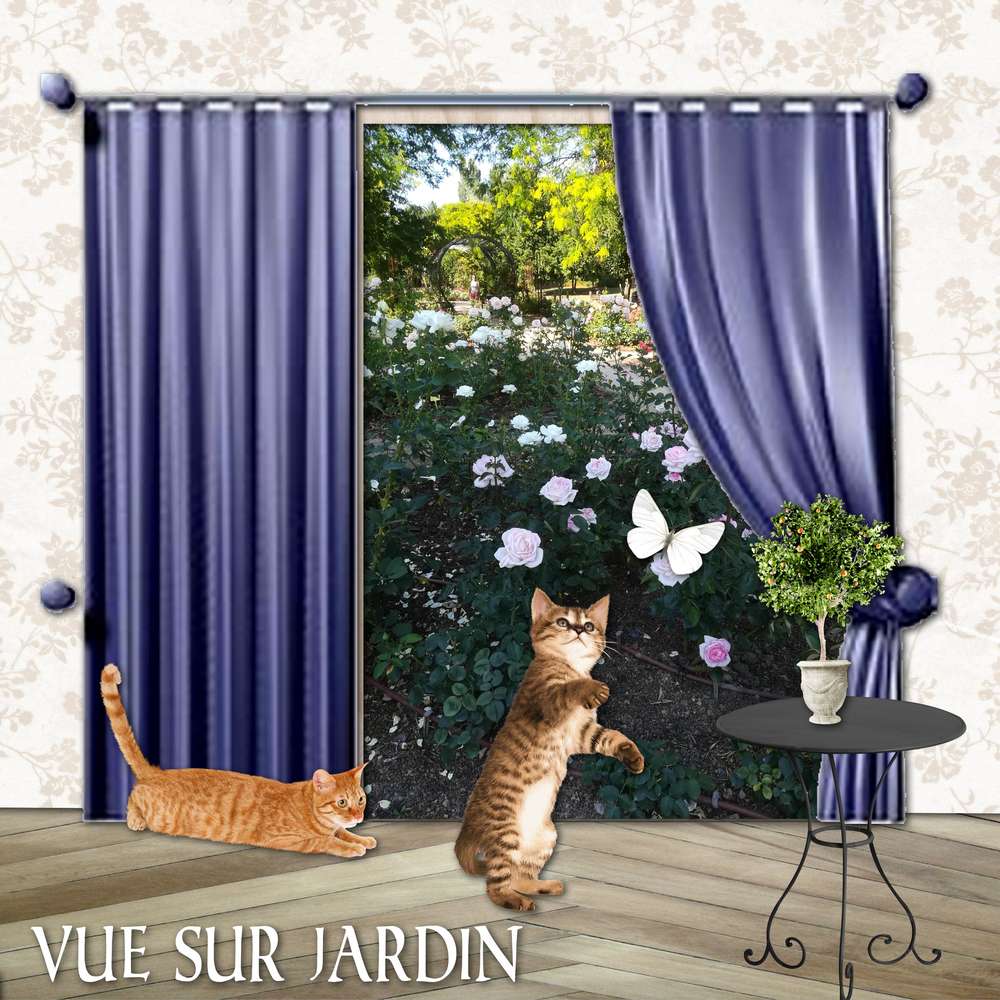 challenge_rideau_Giecat