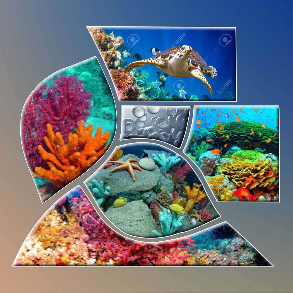 challenge_sous_l_eau