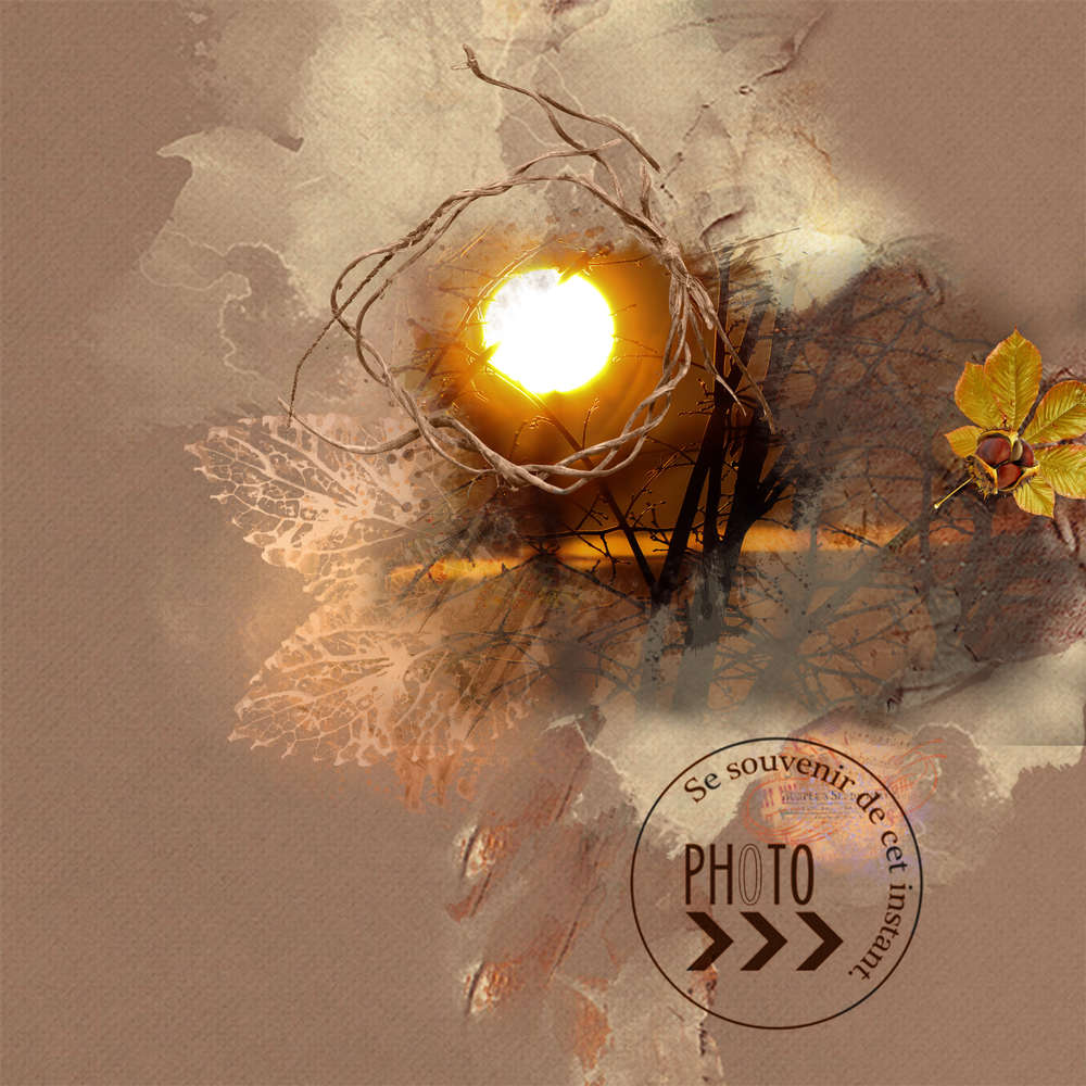 Challengearcenciel marron