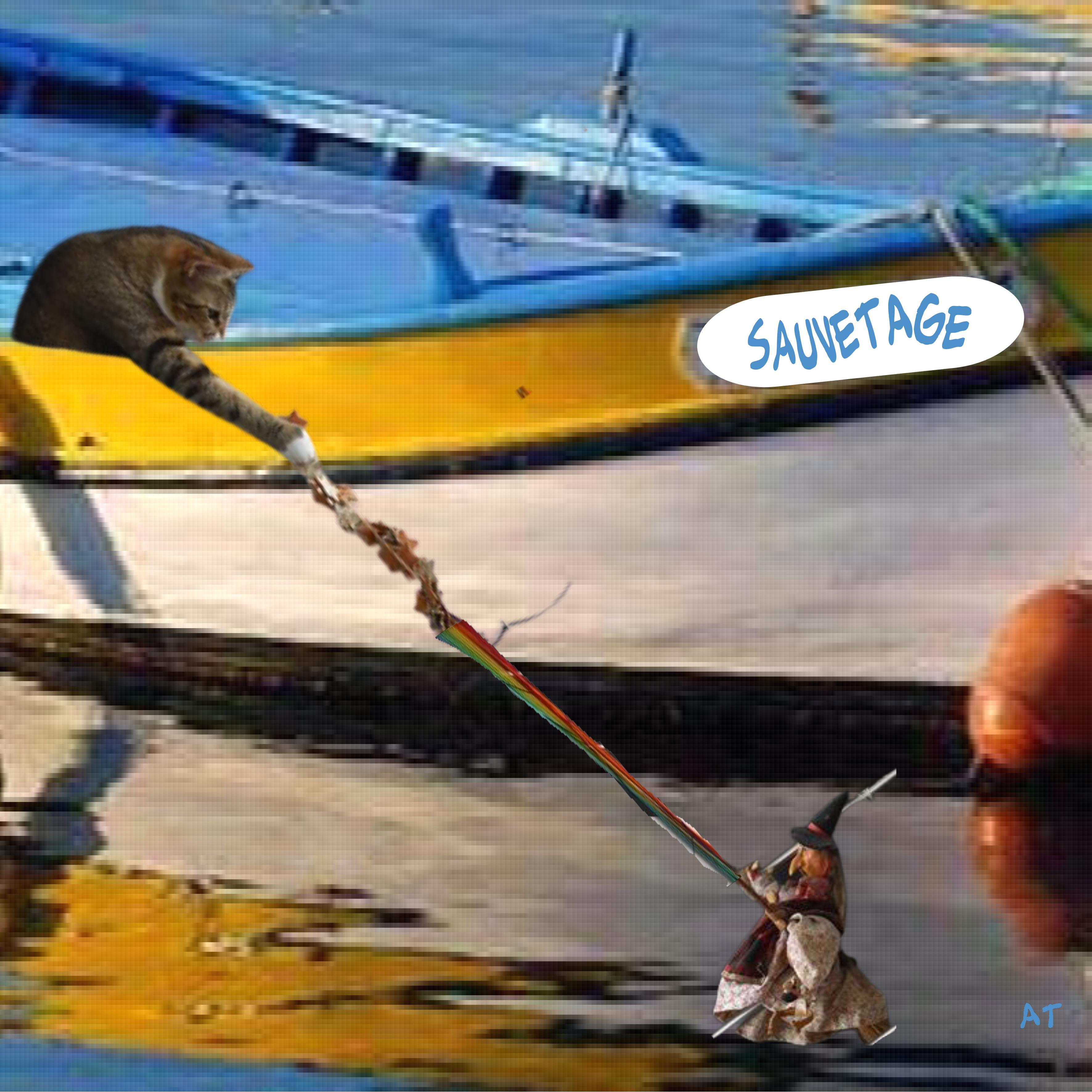 challengephoto sauvetage.jpg