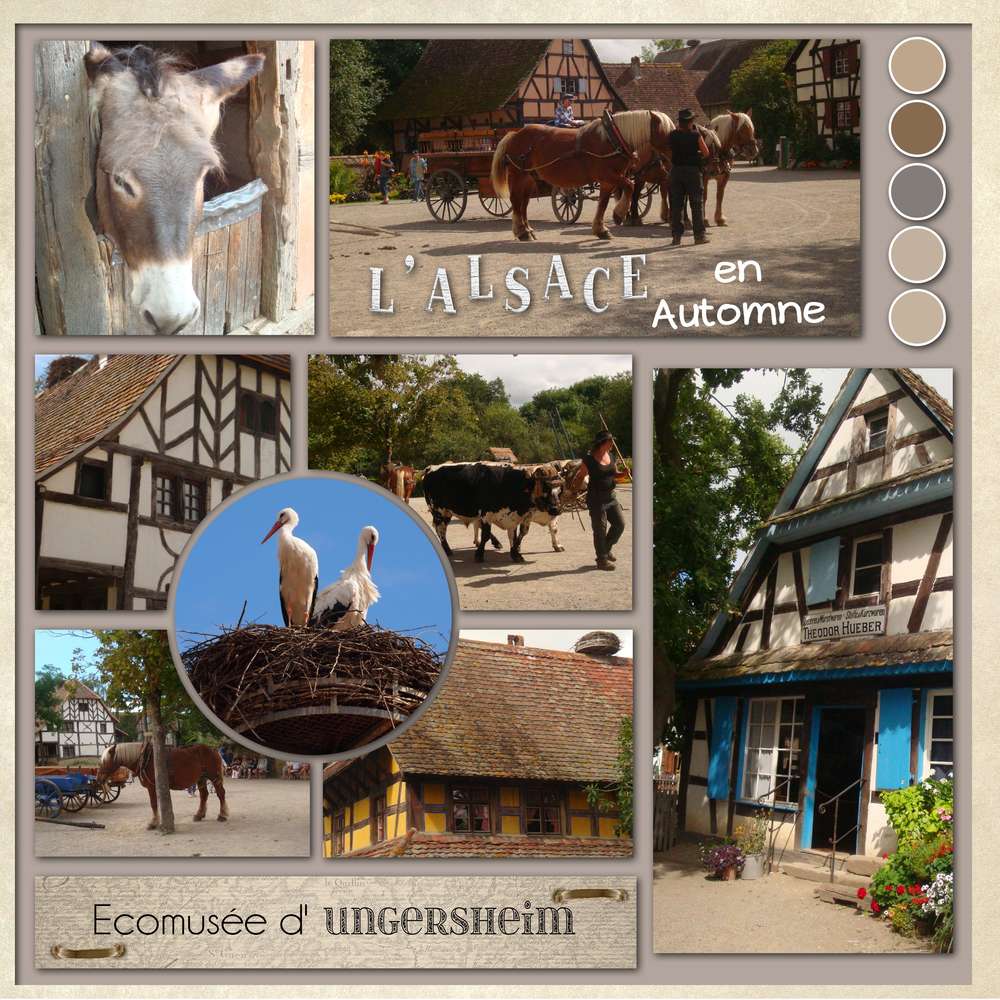 Challenges_Moodboard_Martinas