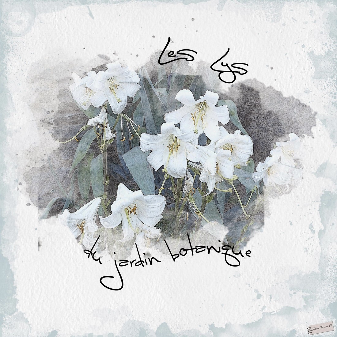 challengesnoopy22! 1.jpg