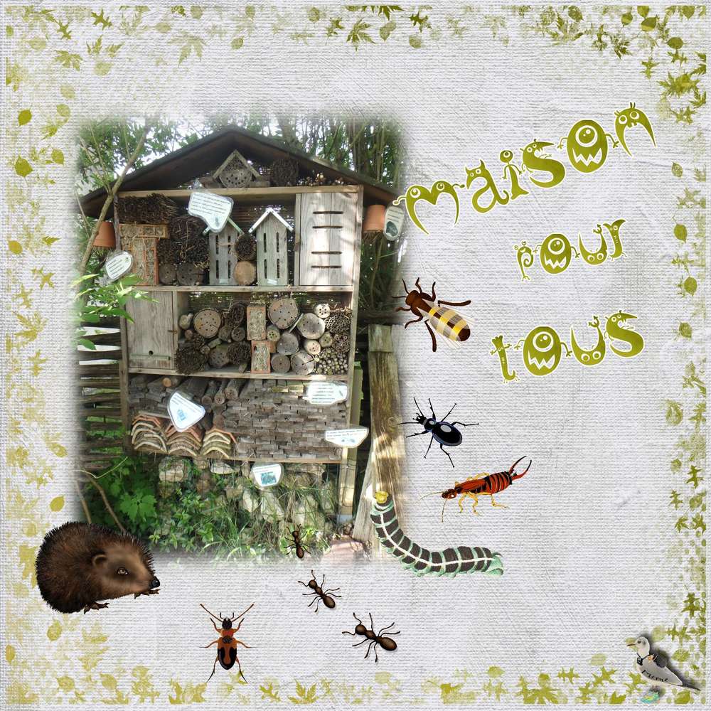 challengestudioscrap-animaux