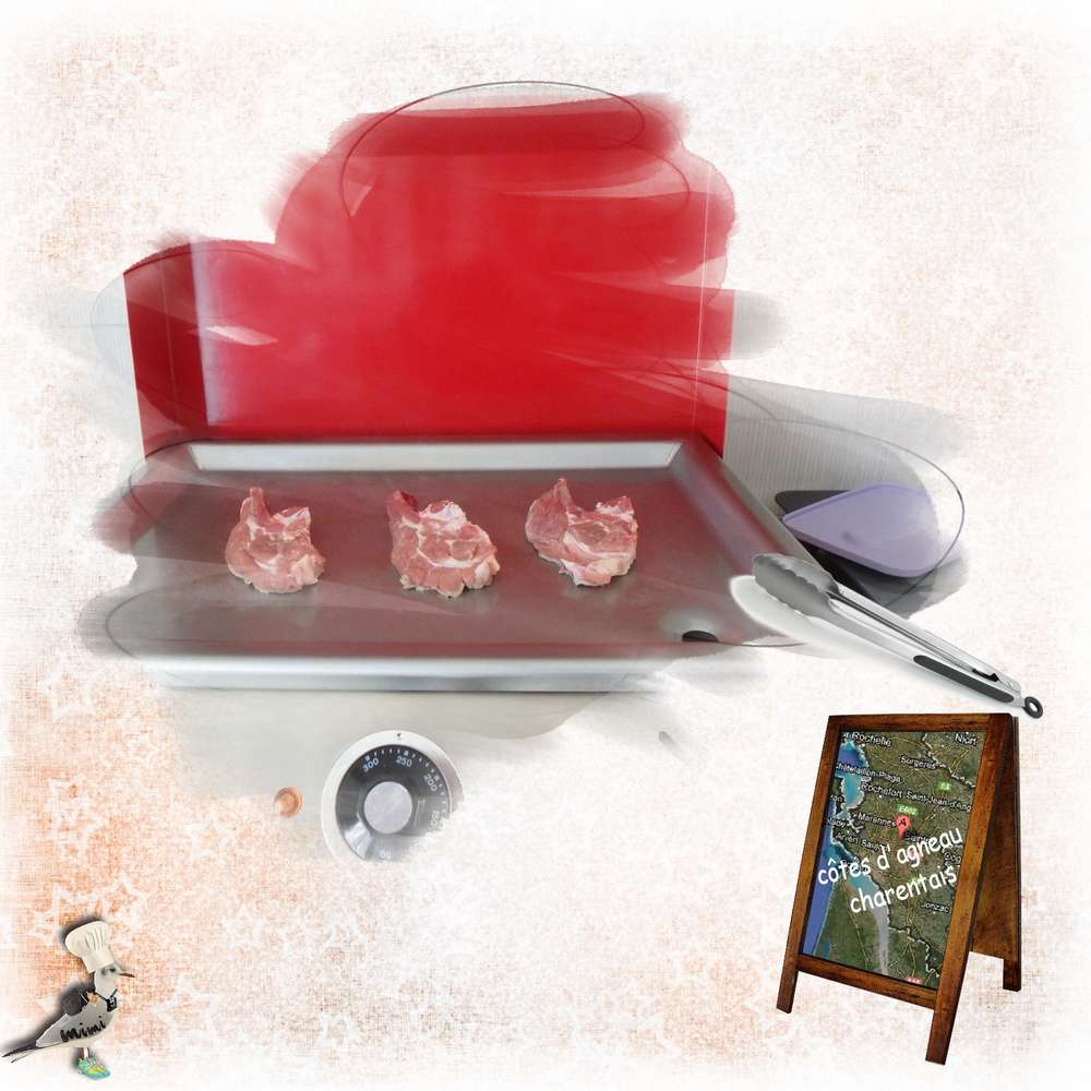 challengestudioscrap-barbecue....