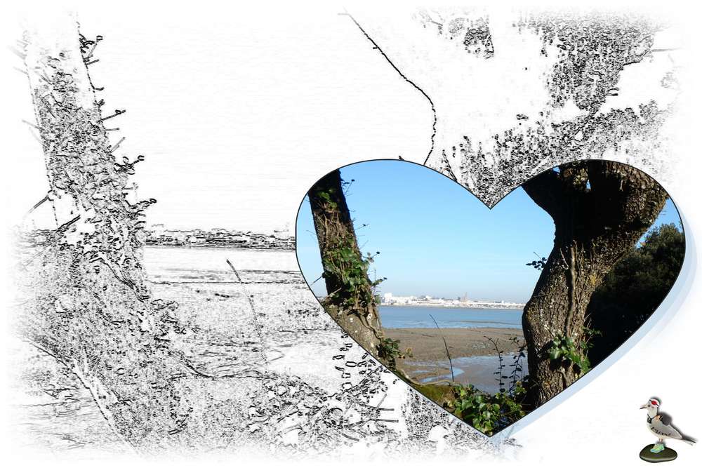 challengestudioscrap-paysage