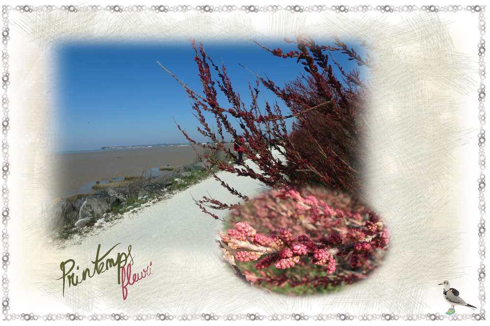 challengestudioscrap-printemps